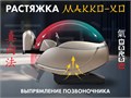 Массажное кресло FUJIMO 氣 GURU2 F800 Коричневый 1733264713