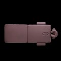 Массажный стол Ergonova OsteoCompact WE 1733272713