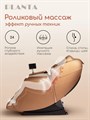 Массажное кресло PLANTA MC-3000G 1733370113