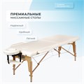 Массажный стол складной Mizomed Standart 2 (S) 1733406417