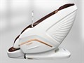 Массажное кресло FUJIMO PEGASUS PRO F777 Коричневый 1733237945