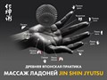 Массажное кресло FUJIMO 氣 GURU2 F800 Коричневый 1733264713