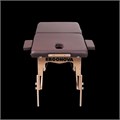 Массажный стол Ergonova OsteoCompact WE 1733272713