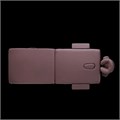Массажный стол Ergonova OsteoCompact WE 1733272713