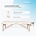 Массажный стол складной Mizomed Standart 2 (S) 1733406417